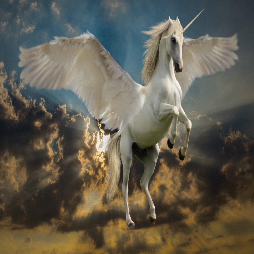 A picture of a unicorn with wings rearing up on its hind legs, wings spread, against white clouds with sun shining through.
